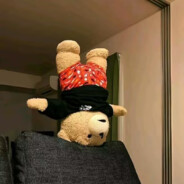 花想衣裳云想容