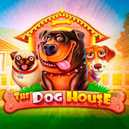dog house