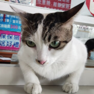 10點我就想睡覺