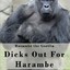 Harambe