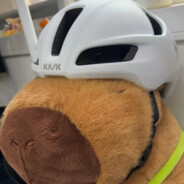 理塘最強伝說と絕兇の猛虎！純真丁一郎です