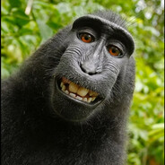 DUL_ÜRETİCİSİ_31