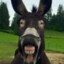 Mr.Donkey