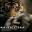 Максимчик