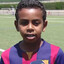 Lamininho