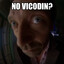doctor vivienda
