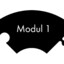 Modu1