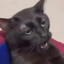 Videos de risa