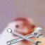 𝚂𝚈𝙻𝚄‘