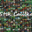 Stik_calllka