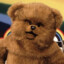 Bungle