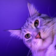 rita avatar