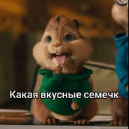 ввввфыввввввввы