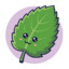 mintymint