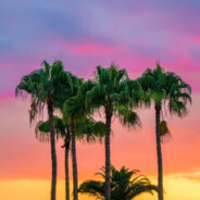 Kica - steam id 76561199246683069