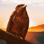 Sunhawk
