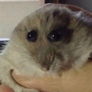tacocat859