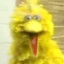 Big Bird