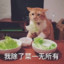 全力倚父