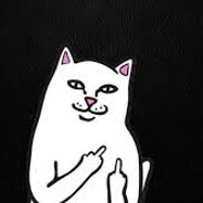 RIPNDIP