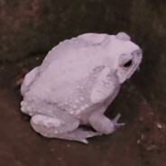 Cururu Branco