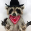 Gerald Racoon