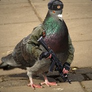 Mrsauceman682