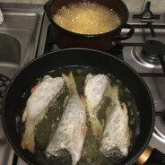 OKOŃ