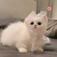 想吃冻梨の暴龙王