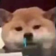 我打的菜我不难受吗