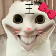 0和1的女神——王姐