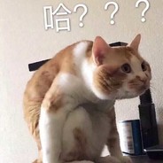 确丧猫
