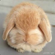 你爱次鱼吗(⊙_⊙)？
