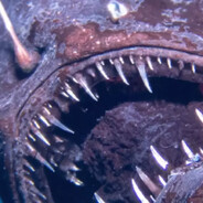 PIRANHÃO