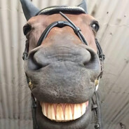 ----下等马分界线----