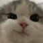 c: