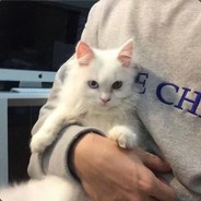 Big Avatar
