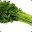 Celery