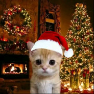 Dedmoroz - steam id 76561199130613953