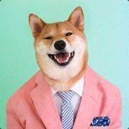 萌蠢萌蠢的梦梦