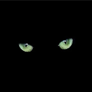 樱花拆散了我们