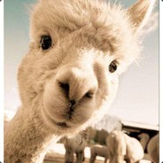 Alpaca