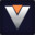 Videogamer