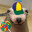 SeaLionLover69