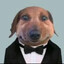 андрюша блоуджоб's avatar