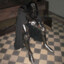 alqasha