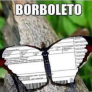 🍁Borboleto🍁