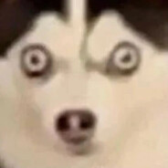 想拯救世界的大米饭