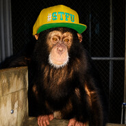 ᶠᶸᶜᵏᵧₒᵤ! SlickNinj