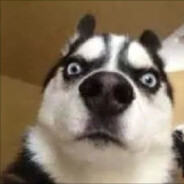 你也听过我的故事？